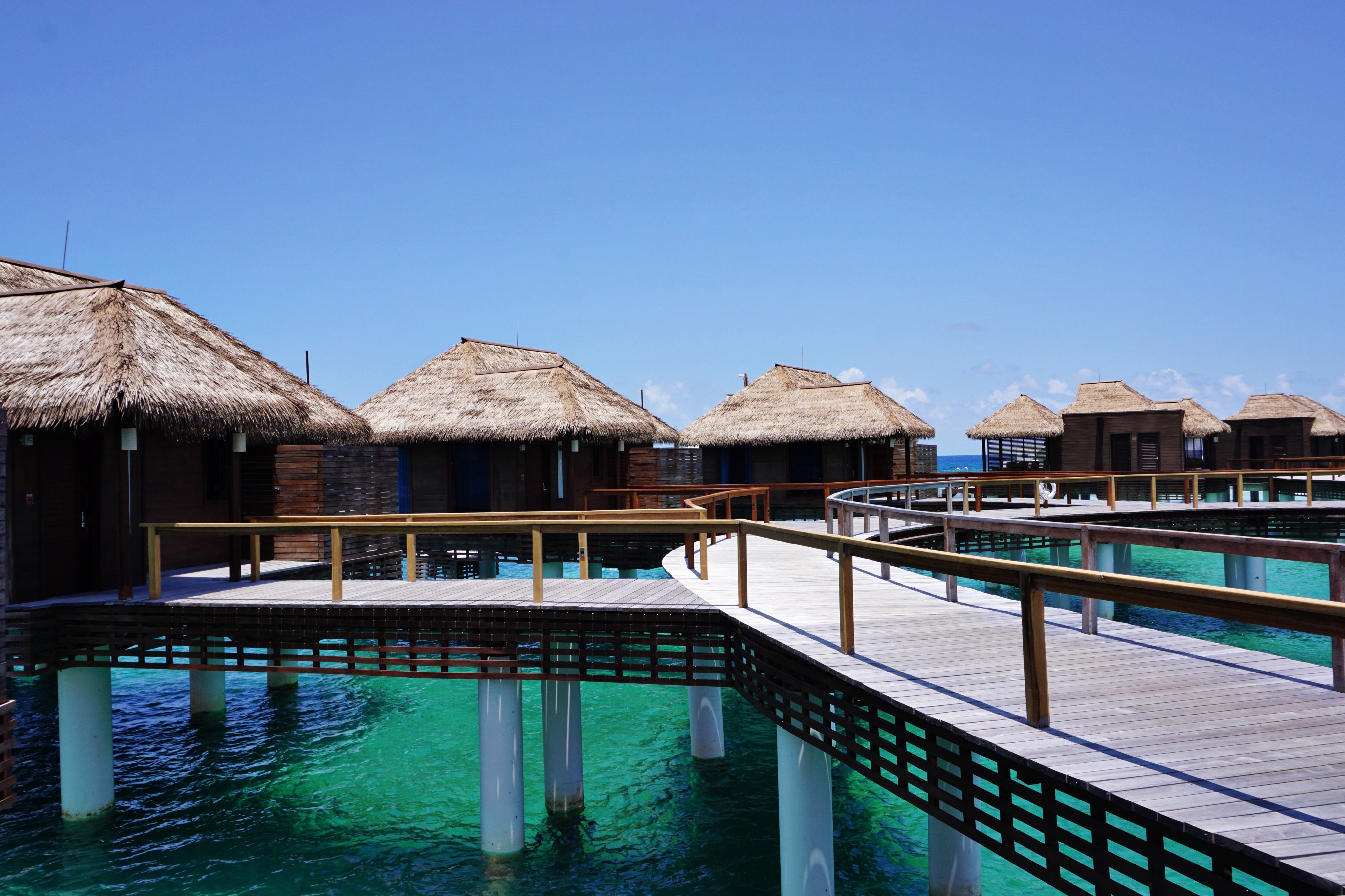 Facetune_24-04-2018-10-16-35