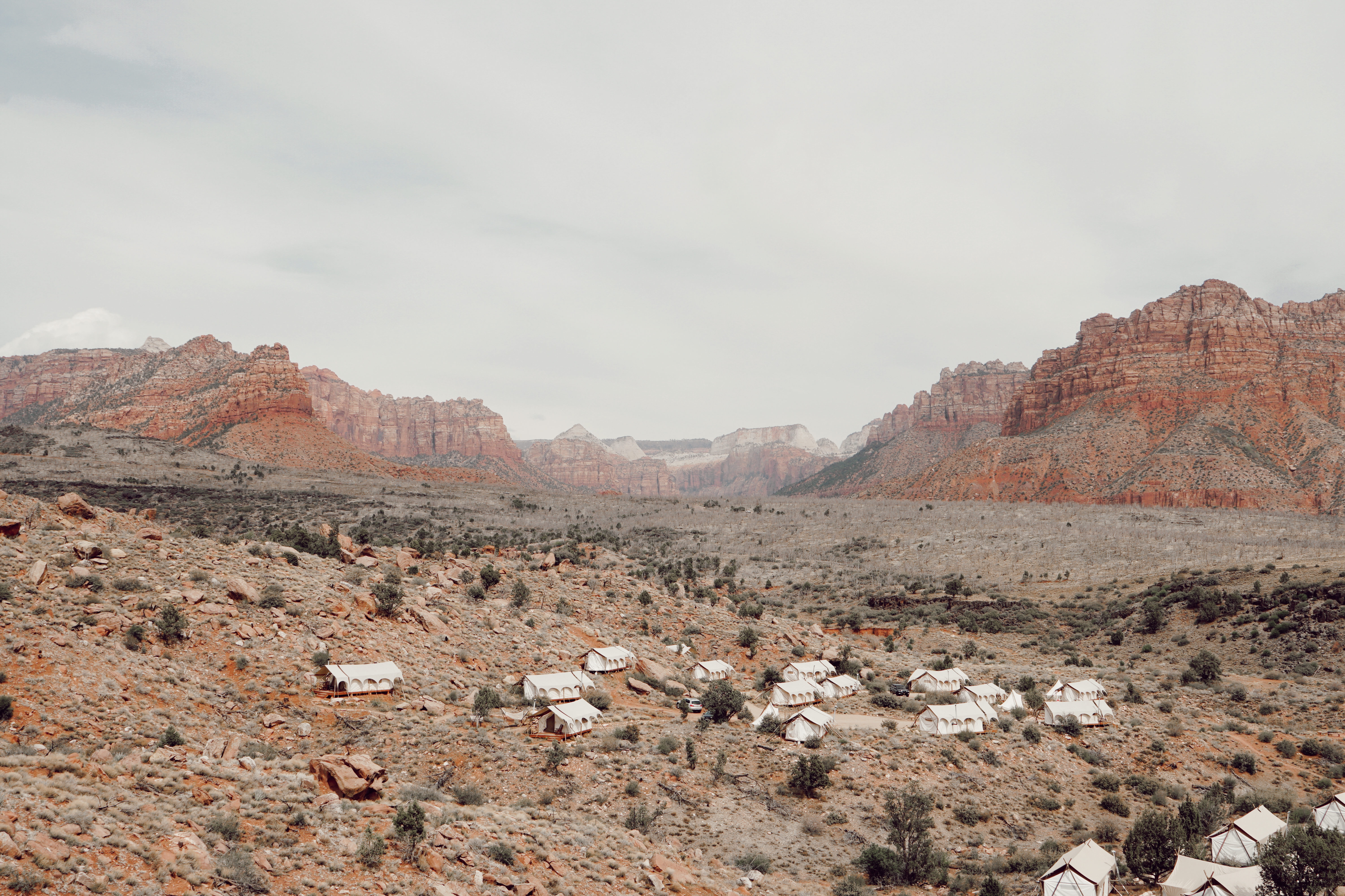 E6E3F09C-E18E-480F-8908-24B09332E68D